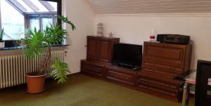 ein Wohnzimmer mit Flachbildfernseher und Pflanzen in der Unterkunft Giselas Haus in Cloppenburg
