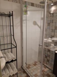 a shower with a glass door in a bathroom at Apartment Art Deco Budapest in Budapest