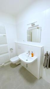 Koupelna v ubytování Mezonetový apartmán ve skandinávském stylu
