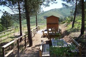 a woodenshed sitting on top of a hill with trees at La Tela Di Penelope in San Marco dʼAlunzio