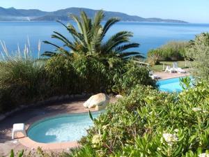 una piscina con vista al mar en Mini villa n2, en Olmeto