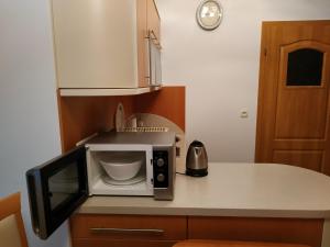 Kuchyňa alebo kuchynka v ubytovaní Apartament ZOYA + garaż + 33 fotografií