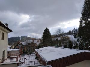 Apartament ZOYA + garaż v zime