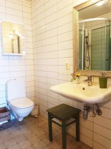 a bathroom with a sink and a toilet and a mirror at Drengestua på Flagstad Østre in Hamar