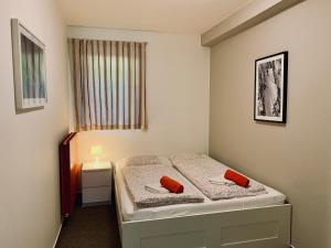 a bedroom with a bed with two red pillows on it at Apartmany Jasna Chopok in Demanovska Dolina