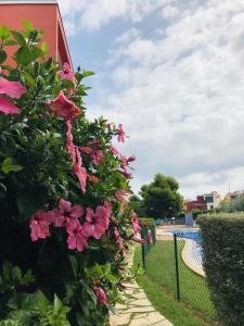 una recinzione con fiori rosa accanto a una piscina di piso Nata with private Terrace Lounge 75m2 a El Verger