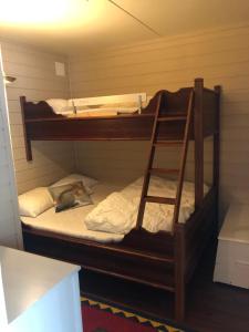 2 literas en una habitación con escalera en Storehorn Apartments Hemsedal, en Hemsedal