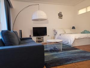 salon z kanapą, telewizorem i łóżkiem w obiekcie Florya Studio Woluwe w Brukseli