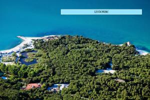 an island in the water with a house on it at B&B Il Poeta sul Mare in Ancona