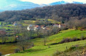 Príroda v okolí hostela