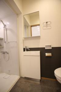 a bathroom with a sink and a toilet and a mirror at Apartments Hakuba in Hakuba