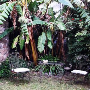Chalet Las Nenas B&B في مار ديل بلاتا: كرسيين وطاولة أمام شجرة موز