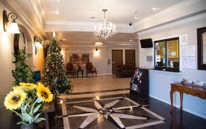 a christmas tree in the lobby of a hotel at Premium Inn and Suites in Killeen