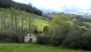 Príroda v okolí hostela
