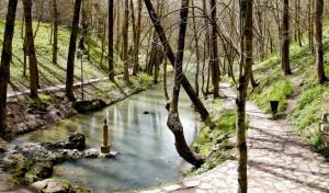 Príroda v okolí hostela
