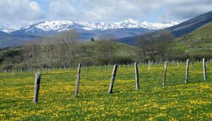 Príroda v okolí hostela
