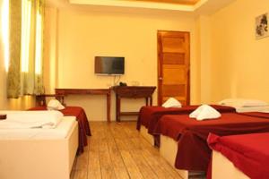 ein Hotelzimmer mit 2 Betten und einem TV in der Unterkunft Reyna's the Haven & Gardens in Tagbilaran