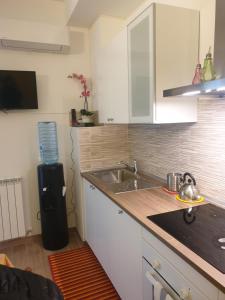 una cucina con lavello e frigorifero di FRANCY HOUSE 2 a Bologna