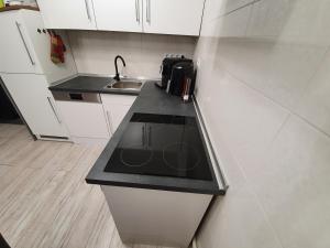 Kuchyňa alebo kuchynka v ubytovaní Apartment for your Holiday