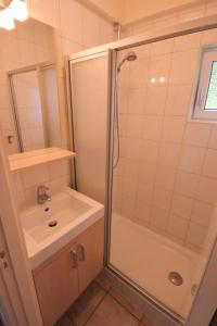 La salle de bains est pourvue d'une douche et d'un lavabo. dans l'établissement Harzhuisje - Sankt Andreasberg, à Sankt-Andreasberg