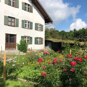 Afbeelding uit fotogalerij van AllgäuLiebe in Oy-Mittelberg