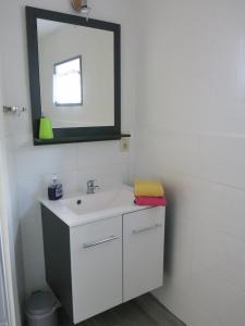 La salle de bains est pourvue d'un lavabo blanc et d'un miroir. dans l'établissement Bülows kleines Ferienhaus, à Thiessow