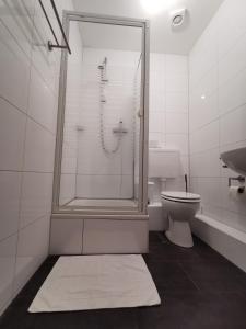 La salle de bains est pourvue d'une douche et de toilettes. dans l'établissement Hotel Lübecker Hof, à Lunebourg