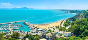 een luchtzicht op een strand met een jachthaven bij La Villa Bleue-Sidi Bou Said in Sidi Bou Saïd