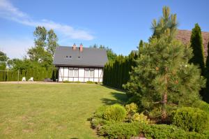 une maison avec un pin dans la cour dans l'établissement Cztery Wiatry, à Jarosławiec