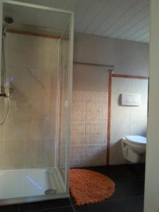 a bathroom with a shower and a toilet at Ferienwohnungen Faber in Kreuzwertheim +11 photos