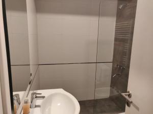 y baño con lavabo y ducha acristalada. en Habitacion privada Chauvin Kelapa en Mar del Plata