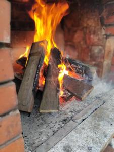 Fotografie z fotogalerie ubytování Forest Escape v destinaci Pale + 41 fotografií