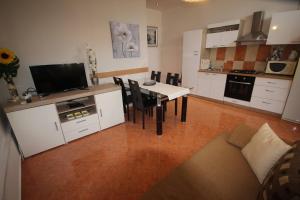 Kuchyňa alebo kuchynka v ubytovaní Family Apartment Mirela Borik + 12 fotografií