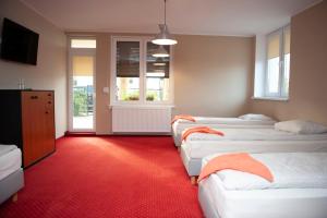 a row of beds in a room with red carpet at Pokoje i Apartamenty Pod Akacjami in Malbork