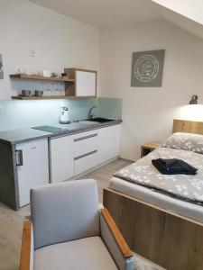 Kuchyň nebo kuchyňský kout v ubytování Apartmán v Harmonii 3 patro