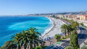 een uitzicht op een strand met palmbomen en de oceaan bij Nestor&Jeeves - RIVOLI PALM - City center - Very close sea in Nice