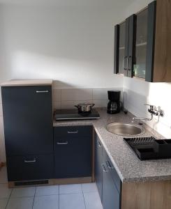 a kitchen with a sink and a counter top at Ferienwohnung Hartmann in Papstdorf
