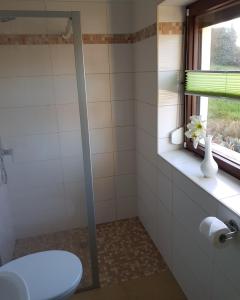 a bathroom with a toilet and a window at Ferienwohnung Hartmann in Papstdorf
