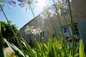 un groupe de fleurs violettes devant un bâtiment dans l'établissement Gîte entre Bordeaux et Saint-Emilion, à Génissac