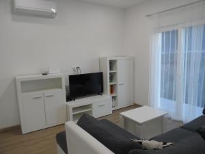 TV a/nebo společenská místnost v ubytování Apartmani Dropulić