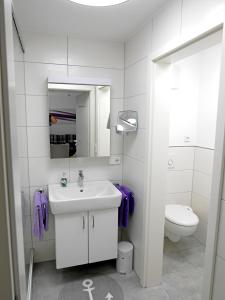 La salle de bains blanche est pourvue d'un lavabo et de toilettes. dans l'établissement Ferienwohnung im Atelierhaus, à Meersburg