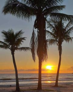 瓜拉圖巴的住宿－Stela Maris，日落时分海滩上的两棵棕榈树