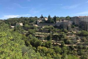 an old town with trees and buildings on a hill at Le Bastidon de L Olivier in Gordes