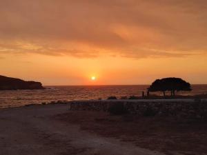 a sunset over the ocean with a tree at Sunset Studios & Rooms in Antiparos