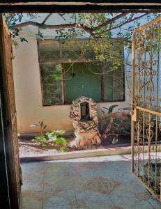 Giardino di Villa Amada a place to relax and take a rest