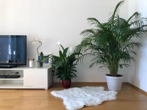 een woonkamer met 2 potplanten en een tapijt bij Apartment Charming in Split