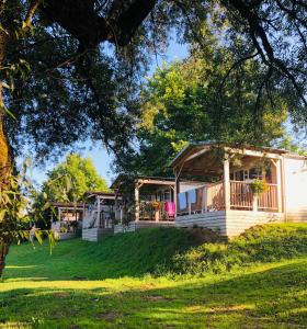 una casa en un césped con un árbol en Holiday resort & camping Bela krajina - river Kolpa en Metlika