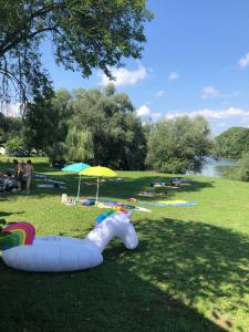 a park with an inflatable animal laying on the grass at Holiday resort & camping Bela krajina - river Kolpa in Metlika