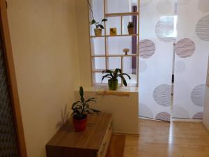 Fotografia z galérie ubytovania Ferienwohnung Brandstatter v destinácii Windischgarsten