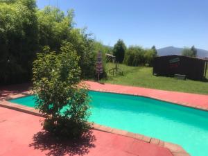 a swimming pool with a tree in a yard at Cabañas Turisticas de la Yayita in Rio Claro